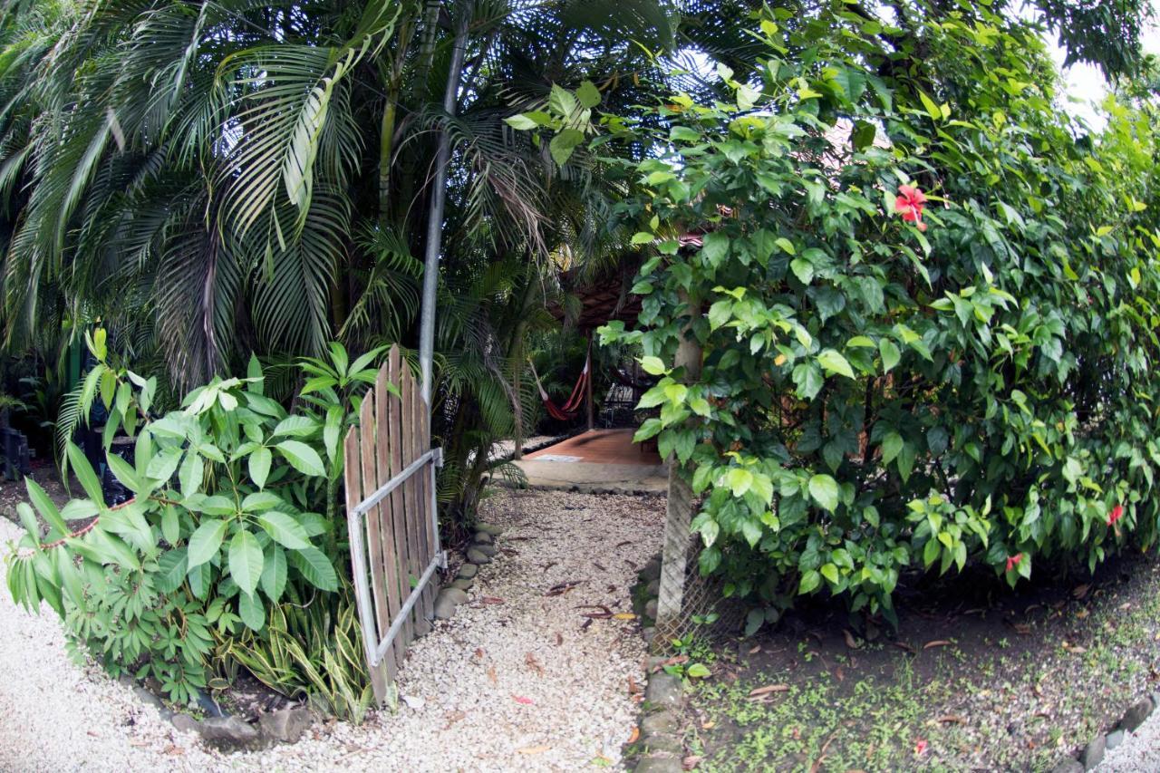 Hotel Disfrutalo Playa Santa Teresa  Esterno foto